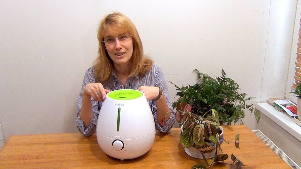 Увлажнитель воздуха