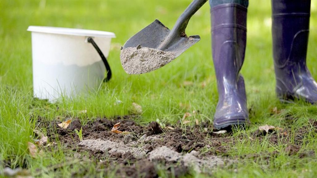 Не все культурные растения положительно реагируют на внесение золы