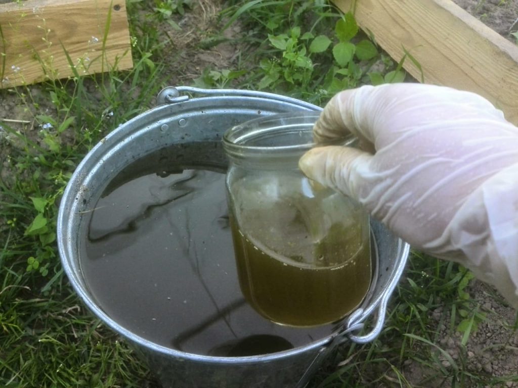 Полезно чередовать органические и минеральные удобрения