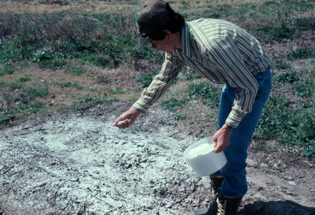 Зола как удобрение