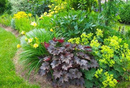 Композиция с гейхерой