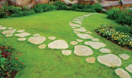 Дорожки из камня всегда выглядят необычно