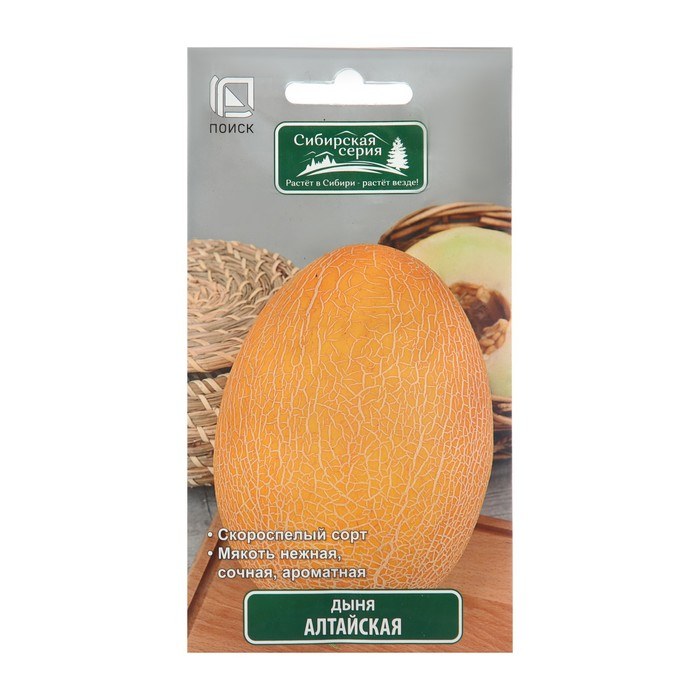 Дыня Алтайская
