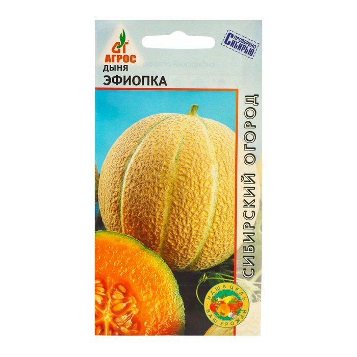 Дыня Эфиопка