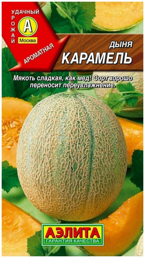 Дыня Карамель