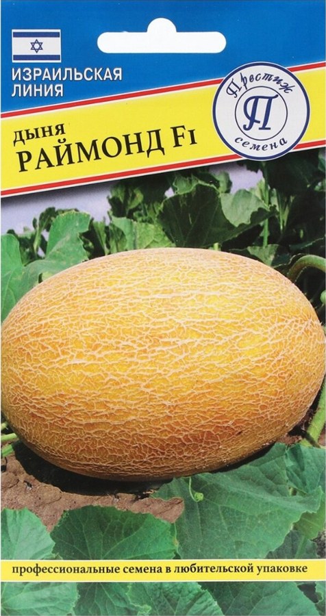 Дыня Раймонд F1
