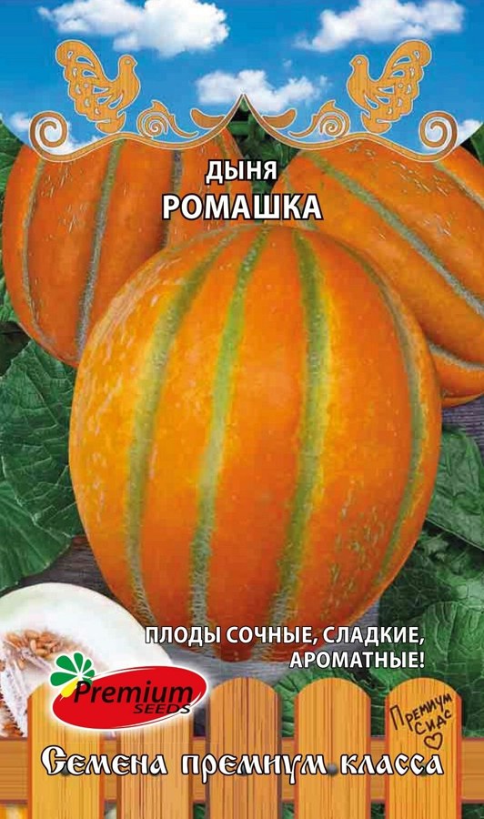 Дыня Ромашка