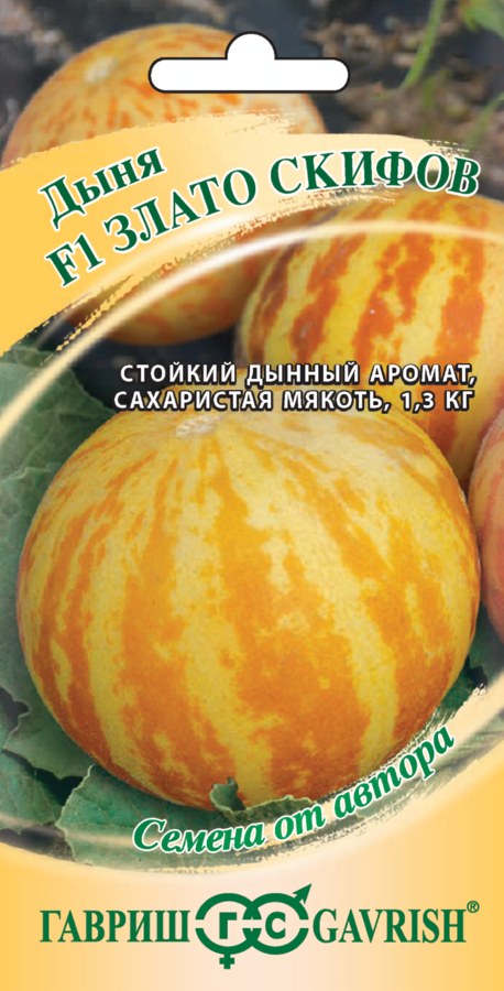 Дыня Злато скифов F1