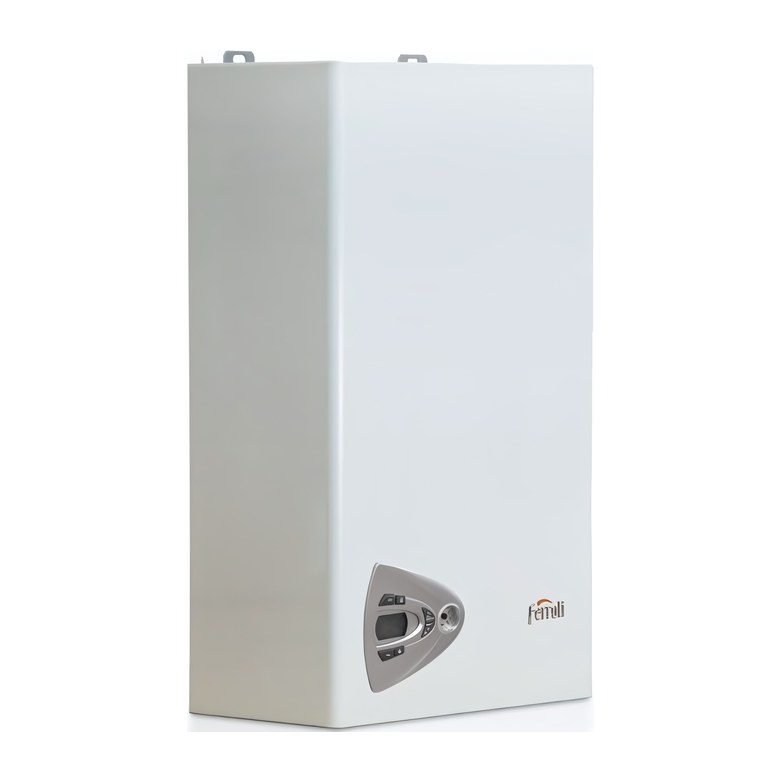 Газовый котел Ferroli Vitabel F24