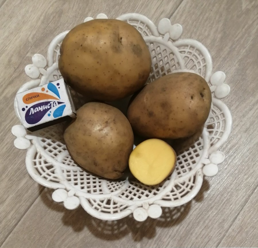 Картофель Бернина