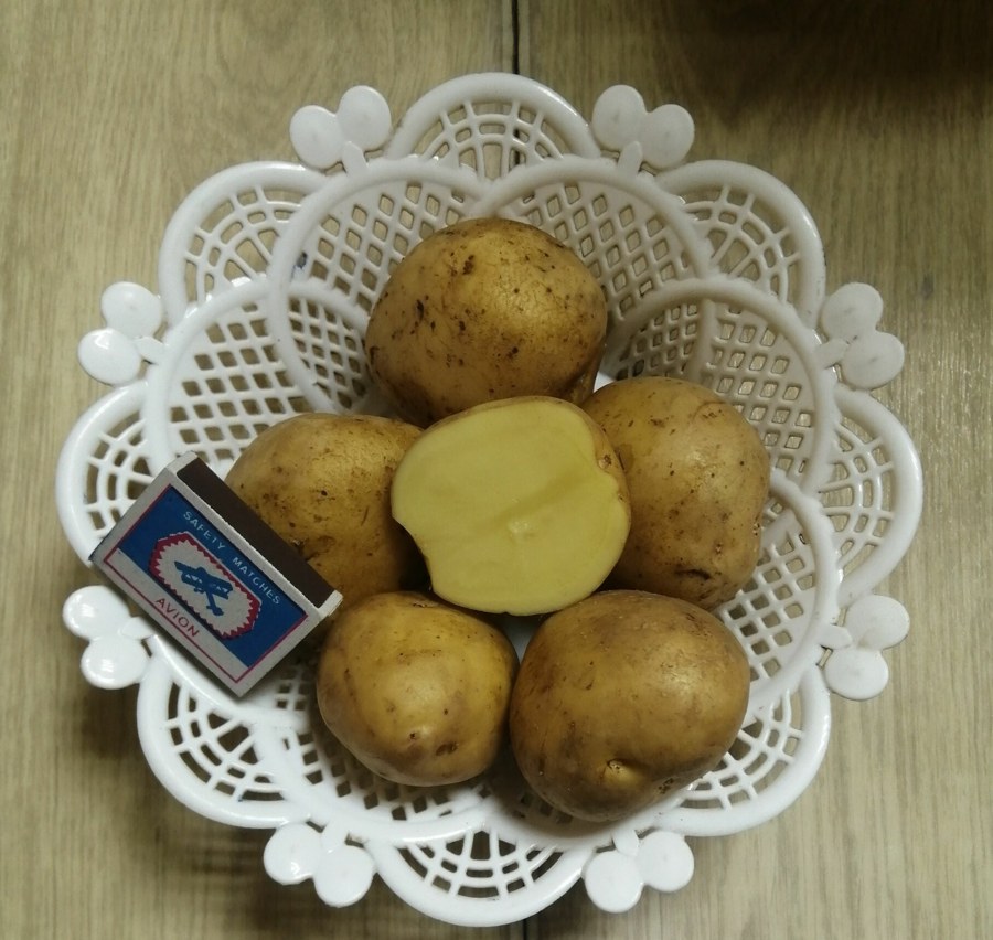 Картофель Ривьера