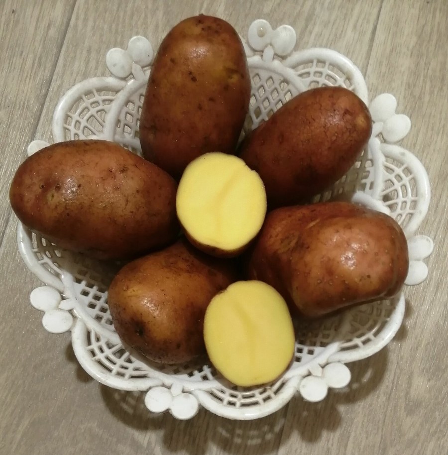 Картофель Родриго