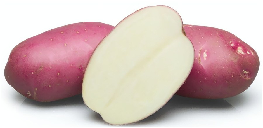 Картофель Розара