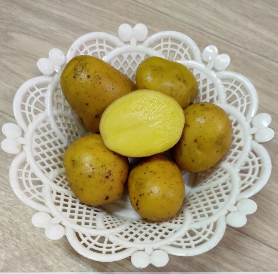 Картофель Скарб
