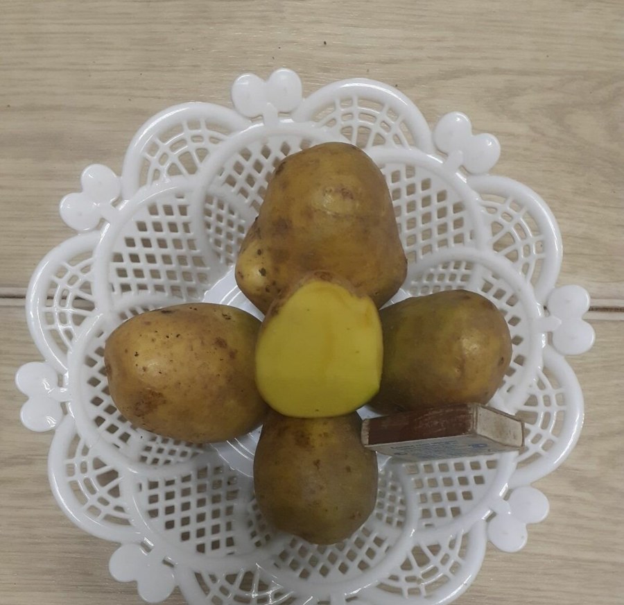 Картофель Тулеевский