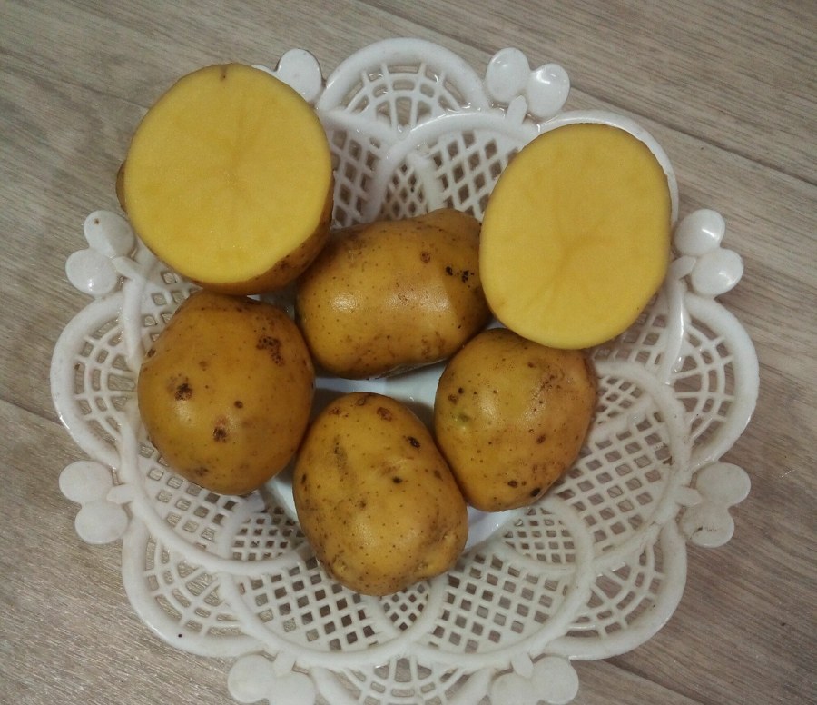 Картофель Вега