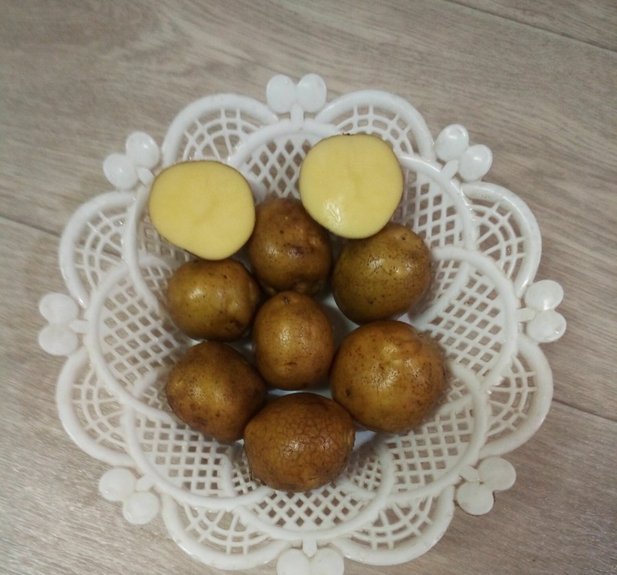Картофель Винета (Венета)