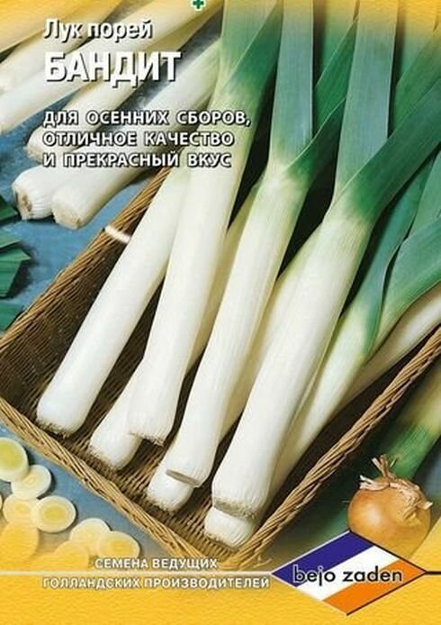 Лук порей Бандит