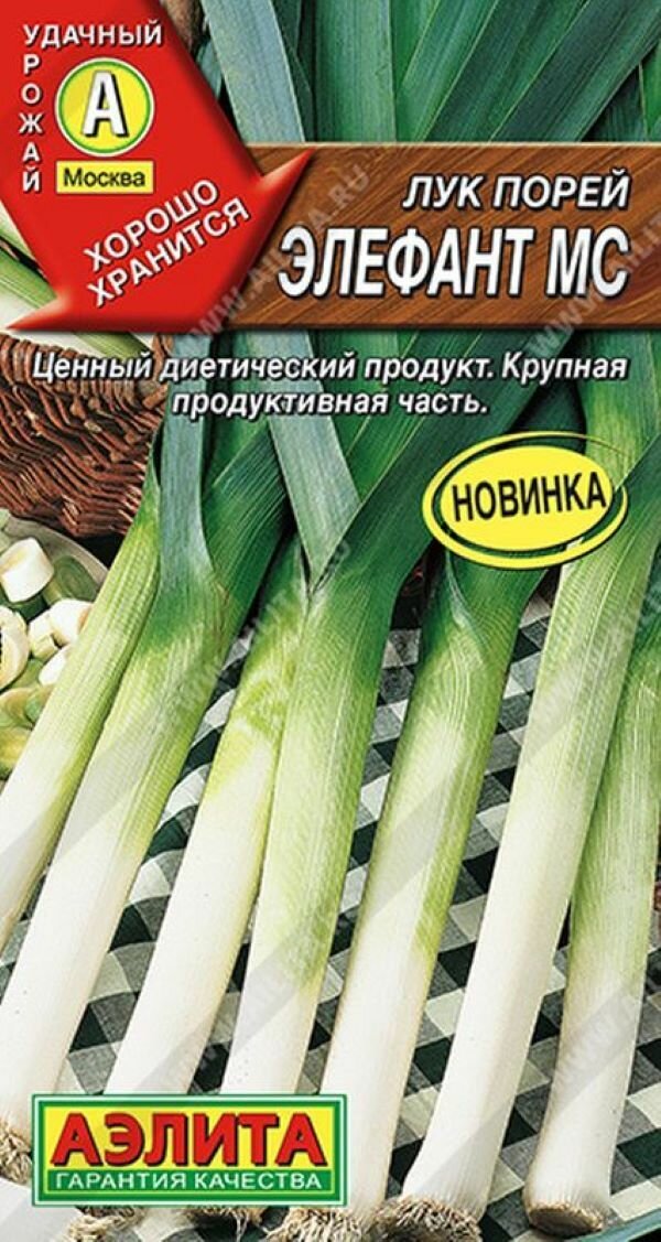 Лук порей Элефант МС