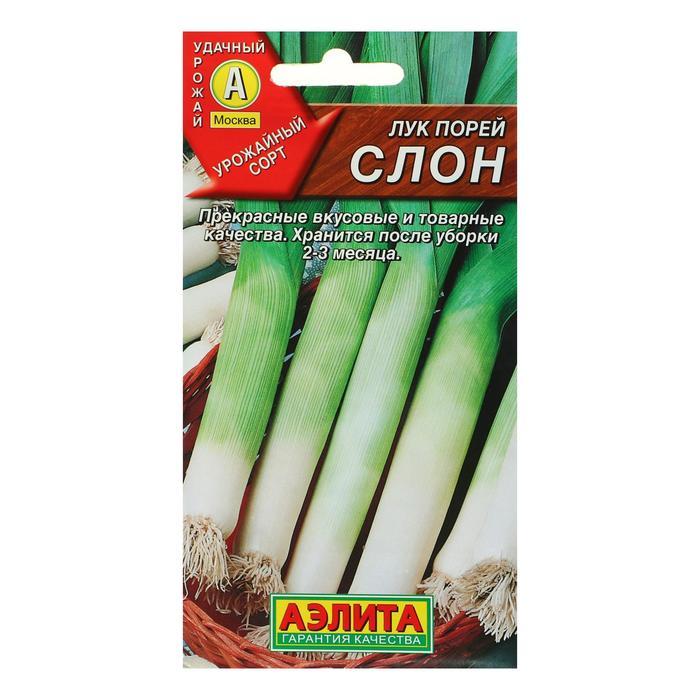 Лук порей Слон