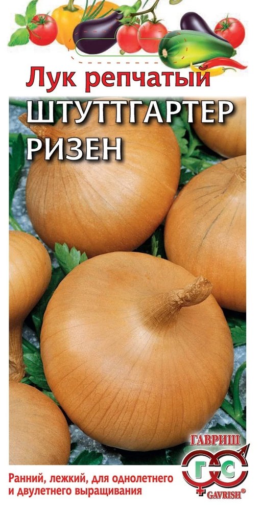 Лук репчатый Штуттгартер Ризен