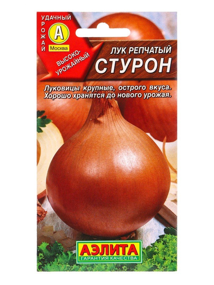 Лук репчатый Стурон