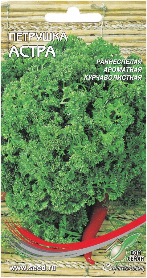 Петрушка кудрявая Астра