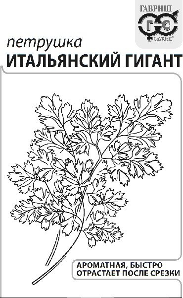 Петрушка листовая Итальянский гигант
