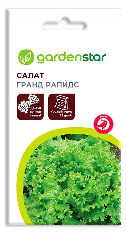 Семена салата Гранд Рапидс
