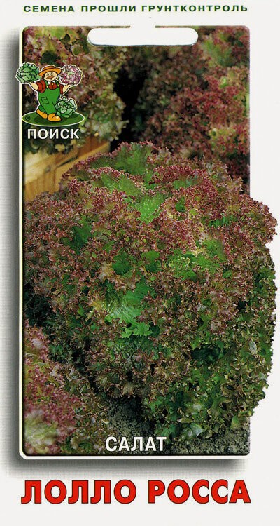 Семена салата Лолло Росса