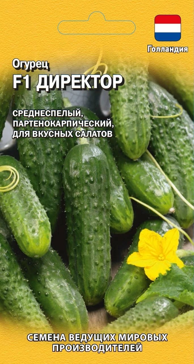 Огурец Директор F1, упаковка семян
