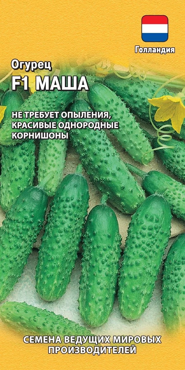 Огурец Маша F1, упаковка семян