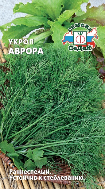 Семена укропа Аврора