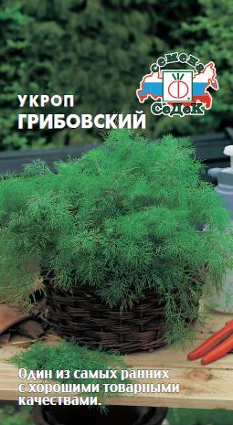 Семена укропа Грибовский