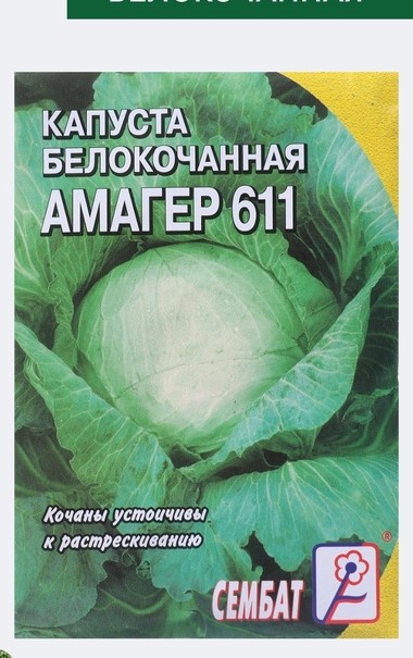 Семена капусты Амагер 611
