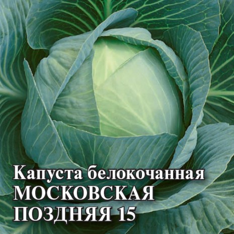 Семена капусты Московская поздняя 15
