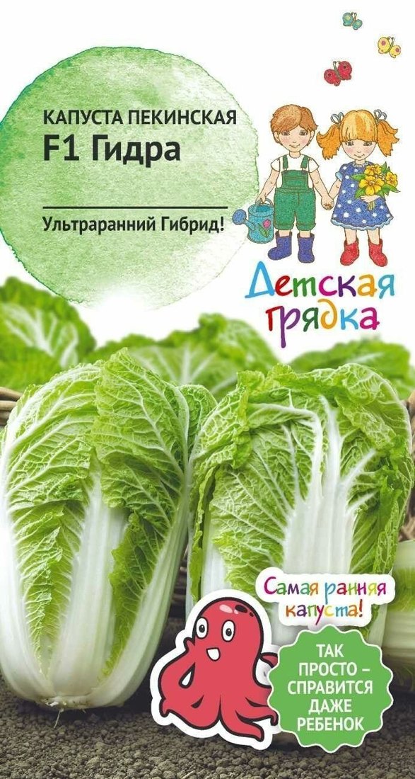 Семена пекинской капусты Гидра F1