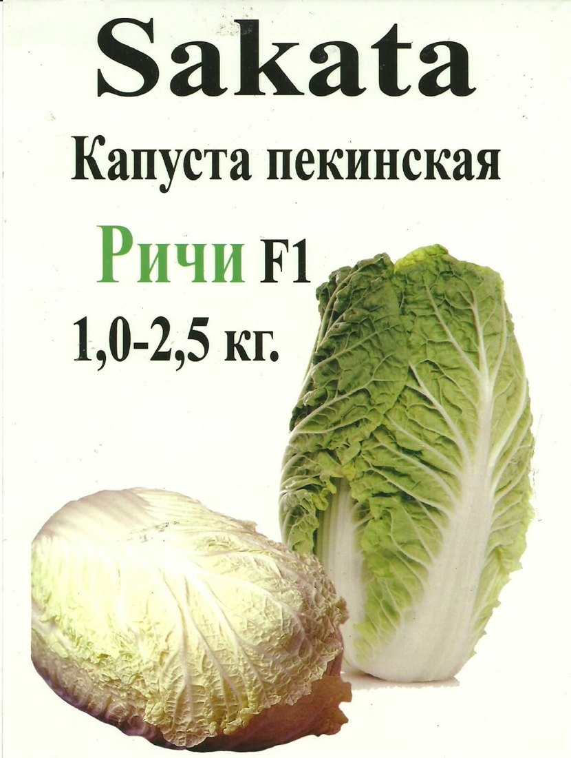 Семена пекинской капусты Ричи F1