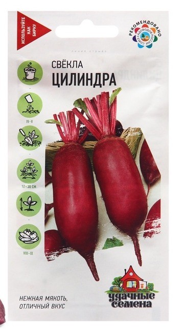 Свекла Цилиндра