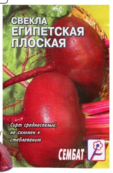 Свекла Египетская плоская