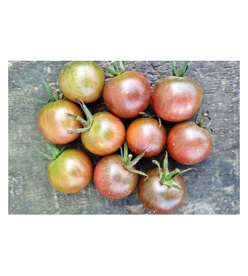 Томат Black Cherry