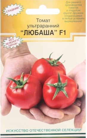Томат Любаша F1