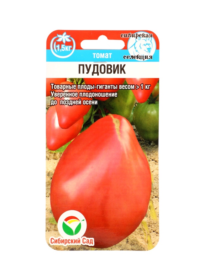 Томат Пудовик