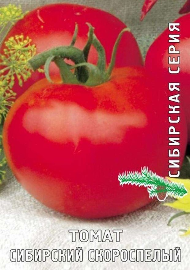 Томат Сибирский скороспелый