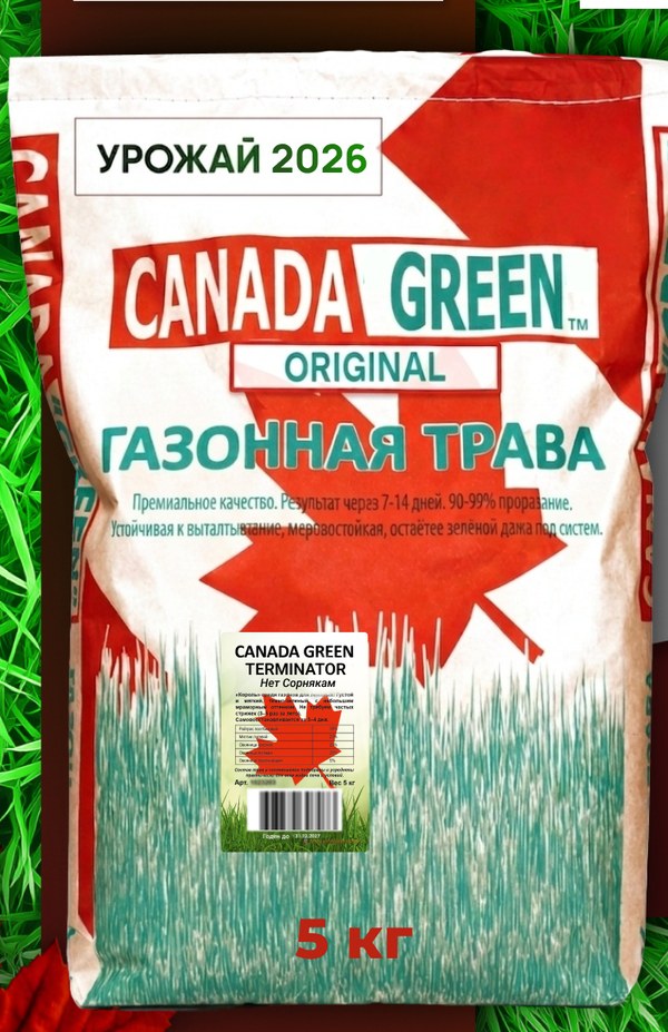 Газонная трава Canada Green Terminator Нет сорнякам 5 кг