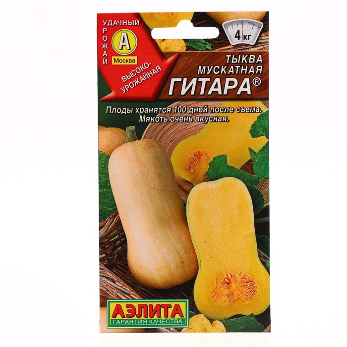 Тыква Гитара