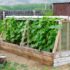 Как сделать и оформить красивые грядки на даче своими руками: простые, высокие, умные. Для цветов и овощей. Оригинальные идеи (80+ Фото & Видео)