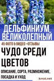 Дельфиниум Великолепный! Описание, сорта, выращивание из семян, размножение, посадка и уход (45 Фото & Видео) +Отзывы