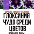 Аквилегия: 25 самых распространенных видов, правила посадки, ухода и размножения (70+ Фото & Видео) +Отзывы
