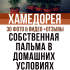Слива — описание 22 самых популярных сортов: желтая, ренклод, венгерка и другие (Фото & Видео) +Отзывы